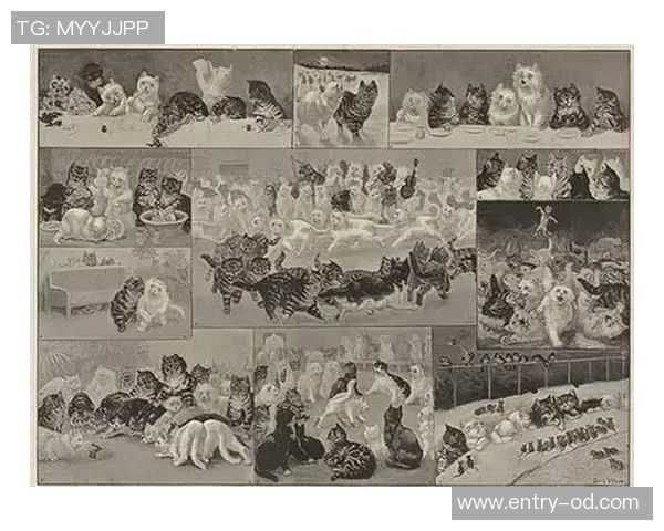 文班在圣诞大战中展现高僧形态285分钟狂砍282分三项命中率惊人